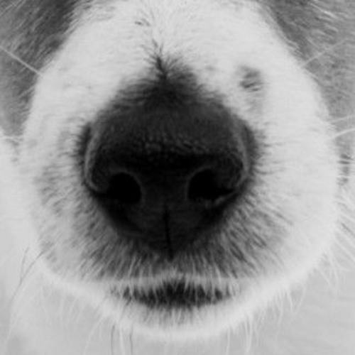 Jack est là… Allez, on se lâche !